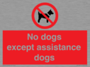 no-dogs-except-assistance-dogs~